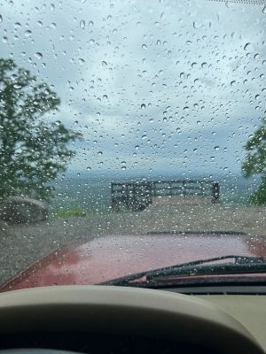 This Thursday we activated Johns Mountain WMA US-3758 from the Overlook site.

Allen KN4FKS set up his end fed half wave sloper antenna under the trees and Dan K2DTS warmed it up first. He made 20 contacts on 20 meters SSB. the band was wonky and contacts were either long or close. He had one in Alabama and one in California. Allen then used the same rig to make 21 contacts on 20 meters SSB with 7 P2P and 3 DX contacts which included a park to park in Bermuda before the rains came.

Danny AG4DW cranked up his rig using a vertical antenna and made 4 SSB contacts, 25 FT8 contacts and 2 FM contacts. With the two FM contacts on the 1.25 m band he accomplished a rather hard to get POTA award. The POTA N1CC award is obtained by making contacts on TEN bands in TEN different parks. He is the first of our crew to get this award, congratulations on all the hard work. John KB4QXI made 20 contacts on 20 meters with 16 P2P contacts and 2 Canadian DX contacts. 

The drive up the gravel road to the overlook is rough as usual but the mountain laurel bushes were in full bloom and made the trip a bit more bearable.

We seem to be in a springtime rain shower loop as every week we seem to be taking down antennas in the rain. Luckily none of the radio equipment has gotten wet. However antennas, coax and throw string need to be dried before the next activation. Hopefully the next activation will be a dry one. 

Again, congrats to Danny on the award. 
