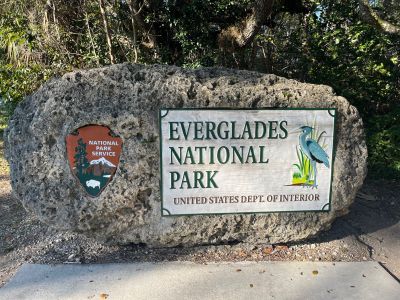 Well I waited for everyone to show up at 10:00 am but nobody came. Friday Dec. 26 I activated Everglades National Park US-0024 from the Long Pine Key picnic area.

I set up the 17 ft. vertical with a single long counterpoise, used the trusty old ICOM 706 MkIIG at 100 watts. On 20 meters SSB I made 31 contacts with 9 Park to Park contacts as well. There was not a lot of shade in the picnic area so it got hot fast Just after noon it was 81 degrees F.

This was the first time I had activated the Everglades and the first time I've had to worry about alligators.  The picnic area is next to a small lake and gators are plentiful there. While having lunch 4 acrobatic airplanes put on a show to my east. Fun day in an amazing national park. 

Anybody else been out recently?
