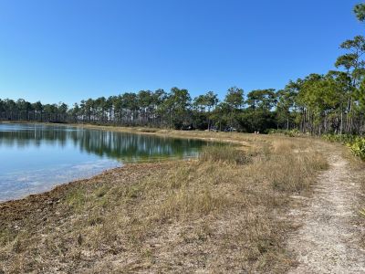 Well I waited for everyone to show up at 10:00 am but nobody came. Friday Dec. 26 I activated Everglades National Park US-0024 from the Long Pine Key picnic area.

I set up the 17 ft. vertical with a single long counterpoise, used the trusty old ICOM 706 MkIIG at 100 watts. On 20 meters SSB I made 31 contacts with 9 Park to Park contacts as well. There was not a lot of shade in the picnic area so it got hot fast Just after noon it was 81 degrees F.

This was the first time I had activated the Everglades and the first time I've had to worry about alligators.  The picnic area is next to a small lake and gators are plentiful there. While having lunch 4 acrobatic airplanes put on a show to my east. Fun day in an amazing national park. 

Anybody else been out recently?

