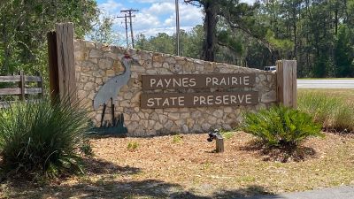 Even though our esteemed leader, Allen (KN4FKS), and I both had to go out of town this week, there was still a LOT of POTA activity despite there being no organized group effort!

Ed (KM6UTC) solved a but of a POTA activation problem/mystery this week that made a gigantic difference in the number of contacts! And it had nothing to do with his equipment! I mention this not to embarrass Ed but, rather, to point out how easy it is for us humans to make the wrong assumptions and maybe there is someone else wanting to do POTA that has made the same assumption. Up until this week Ed says that he thought the only calls you could log for a POTA activation were calls to another activator or a hunter answering his CQ POTA call! In fact, almost any valid QSO counts and can be logged (no repeaters can be used, however). You can answer someone else’s CQ and have a rag chew. It counts as a valid POTA contact. Make a contact with a DXExpediton? It counts!

Armed with the new knowledge, Ed activated US-0716, Chickamuaga and Chattanooga National Battlefield, from the Cravens House location on the North side of Lookout Mountain, on Thursday. hw wound up with 85 contacts for the day with a number of DX.  The DX included the Dominican Republic, Cuba, Romania, Spain, France, Canada (eh), Puerto Rico, Italy, Azores, & Hungary. 

Ed noted that the views from Cravens House were wonderful due to the excellent weather. He also commented on what appears to once have been a beautiful Mansion and adjacent Coach House at the Cravens House location and noted that the Nation Park Service seems to have  allowed these structures to deteriorate, probably past the point of no return!

Ed asked if anyone had any information about this and someone sent a link to a 13-year old link to the Chattanoogan.com that sums it up quite well! A copy of the link is attached if you want to find out more!

https://www.chattanoogan.com/2013/3/25/247432/John-Shearer-History-Of-The-Hardy-Home.aspx

Before heading out of town Allen (KN4FKS) got away Tuesday afternoon for a few hours to Estelle Mine Road on Pigeon Mtn.WMA (US-3742). He set up his 25 ft vertical with the faraday cloth radials and mainly chased parks for P2P contacts. He had 22 SSB contacts with 20 P2P and 2 special event stations. Also one P2P to Puerto Rico. On 20 meters he had 16 contacts and 6 more on 40 meters. 

AND… a bug congratulations to Dan Strickland (K2DTS) for achieving a Kilo (1000 activator contacts) from US-0716 on Wednesday. Dan has been working on this goal for a while and he can finally put that notch in his belt! 

As for me, Danny (AG4DW), I had to travel to Florida for the weekend but did manage to activate two new-to-me parks in Florida on the trip down. Payne’s Prairie Preserve State Park (US-3647) and Price’s Scrub State Park (US-10463). These two parks are about 4 miles apart and are totally different! Payne’s Prairie has luscious tropical foliage and Spanish Moss everywhere and a large lake and picnic pavilions. Price’s Scrub is a relatively new park and is pretty primitive and expected to remain that way. One picnic table, one porta-potty and one trash can! I managed 25 SSB contacts on 20 meters at both parks! 

And, in a first for me, we saw a park ranger pull in at Price’s Scrub in an unmarked truck and headed towards a small trailhead. He saw us watching him and backed up to us, identified himself, and told us he was there on official business! He was afraid we were going to call the cops and report HIM! You hear reports of rangers investigating POTA activators but usually not the other way around! We had a good laugh and he was very familiar with Parks on the Air. He said if the apocalypse ever happens, he is getting in touch with us POTA guys!
