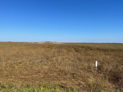 Well I waited for everyone to show up at 10:00 am but nobody came. Friday Dec. 26 I activated Everglades National Park US-0024 from the Long Pine Key picnic area.

I set up the 17 ft. vertical with a single long counterpoise, used the trusty old ICOM 706 MkIIG at 100 watts. On 20 meters SSB I made 31 contacts with 9 Park to Park contacts as well. There was not a lot of shade in the picnic area so it got hot fast Just after noon it was 81 degrees F.

This was the first time I had activated the Everglades and the first time I've had to worry about alligators.  The picnic area is next to a small lake and gators are plentiful there. While having lunch 4 acrobatic airplanes put on a show to my east. Fun day in an amazing national park. 

Anybody else been out recently?
